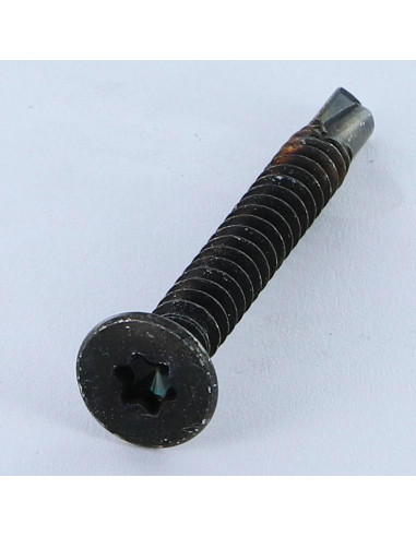 1 x Vis autoperceuse Tête fraisée TORX T25...