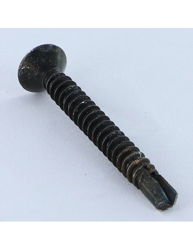 1 x Vis autoperceuse Tête fraisée TORX T25...