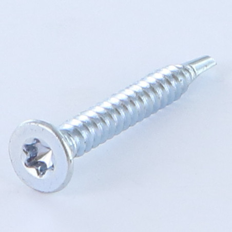 1 x Vis autoperceuse Tête fraisée TORX T20 4.2X25 Acier zingué