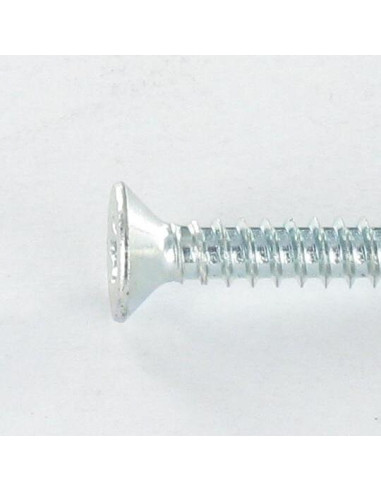1 x Vis autoperceuse Tête fraisée TORX T20...