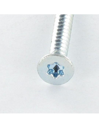 1 x Vis autoperceuse Tête fraisée TORX T20...