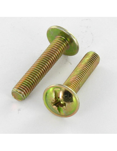 1 x Vis Poelier POZI et fendu M6X10 Bichromaté