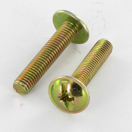 1 x Vis Poelier POZI et fendu M6X10 Bichromaté