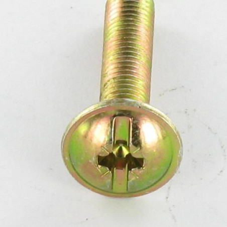1 x Vis Poelier POZI et fendu M6X10 Bichromaté