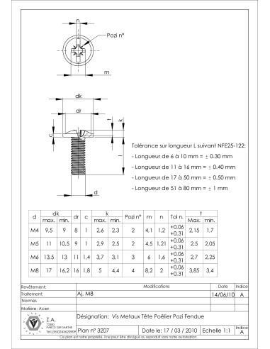 1 x Vis Poelier POZI et fendu M6X10 Bichromaté