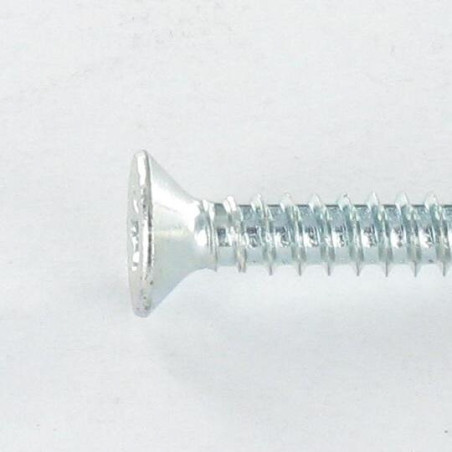1 x Vis autoperceuse Tête fraisée TORX T25 4.8X19 Acier zingué