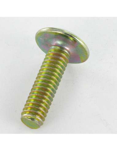 1 x Vis Poelier Fendue En Croix M8X40 Bichromaté