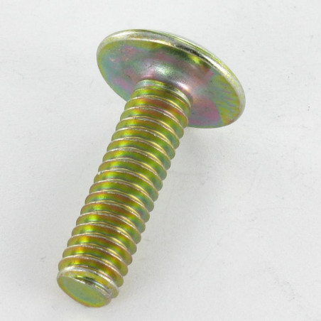 1 x Vis Poelier Fendue En Croix M8X40 Bichromaté