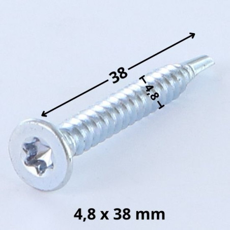 1 x Vis autoperceuse Tête fraisée TORX T25 4.8X38 Acier zingué