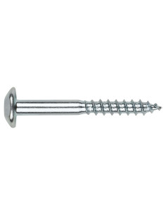 Vis Penture Inviolable 2 pièces TORX T40 7X140 Acier zingué