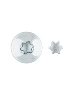 Vis Penture Inviolable 2 pièces TORX T40 7X70 Acier zingué 2