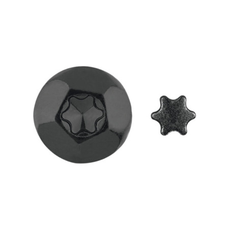 1 x Vis Penture Inviolable 2 pièces TORX T40 7X80 Acier zingué noir