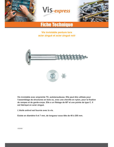 1 x Vis Penture Inviolable 2 pièces TORX T40...