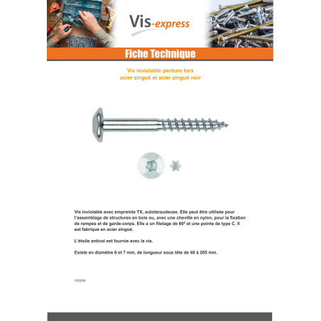 1 x Vis Penture Inviolable 2 pièces TORX T40 6X40 Acier zingué