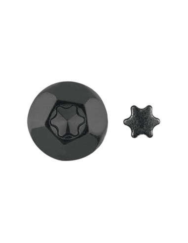 1 x Vis Penture Inviolable 2 pièces TORX T40...