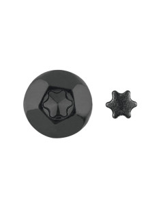 Vis Penture Inviolable 2 pièces TORX T40 7X40 Acier... 2
