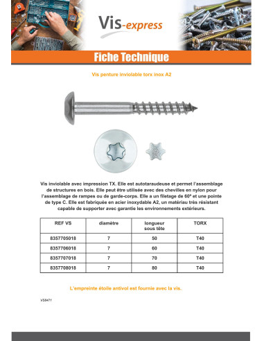 1 x Vis Penture Inviolable 2 pièces TORX Inox...