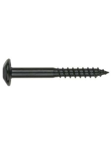 1 x Vis Penture Inviolable 2 pièces TORX T40...