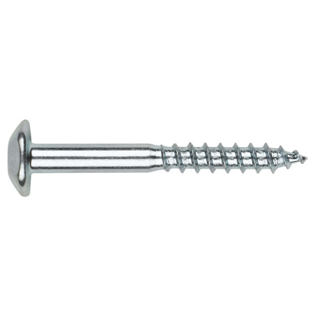 1 x Vis Penture Inviolable 2 pièces TORX T40 7X50 Acier zingué