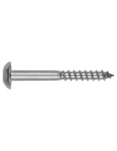 Vis Penture Inviolable 2 pièces TORX Inox A2 7X70 Inox A2
