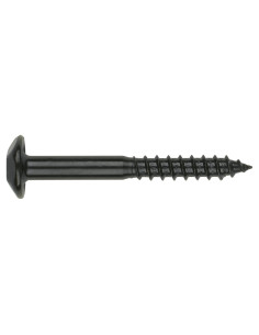 Vis Penture Inviolable 2 pièces TORX T40 7X30 Acier...
