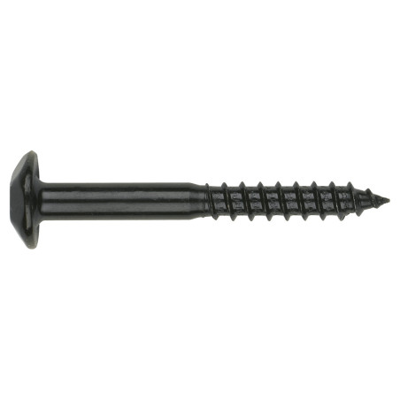 1 x Vis Penture Inviolable 2 pièces TORX T40 7X30 Acier zingué noir