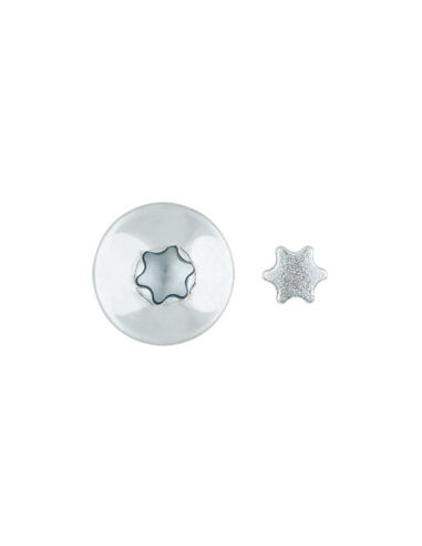 1 x Vis Penture Inviolable 2 pièces TORX T40...