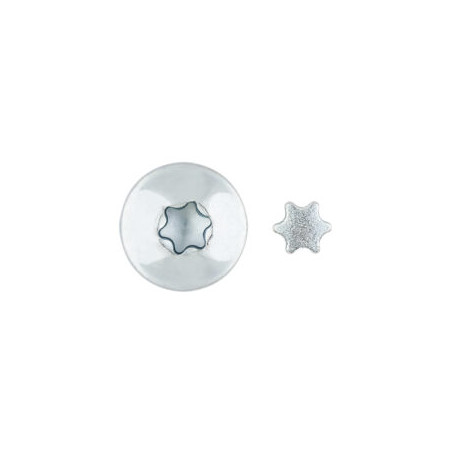 1 x Vis Penture Inviolable 2 pièces TORX T40 6X70 Acier zingué