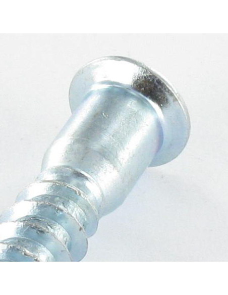 1 x Vis d'assemblage confirmat Tête fraisée TORX 7X50 SS Cranté Acier zingué TORX T20