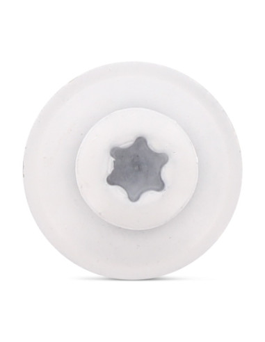 1 x Vis faitage Tête fraisée bombée TFB TORX...