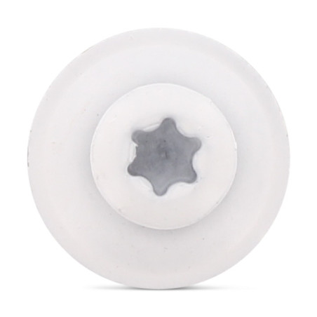 1 x Vis faitage Tête fraisée bombée TFB TORX T20 Inox A2 RAL9010 blanc pur 4.5X35 Rondelle d'étanchéite EPDM