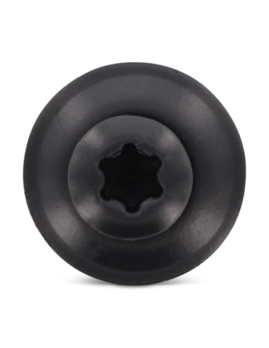 1 x Vis faitage Tête fraisée bombée TFB TORX...