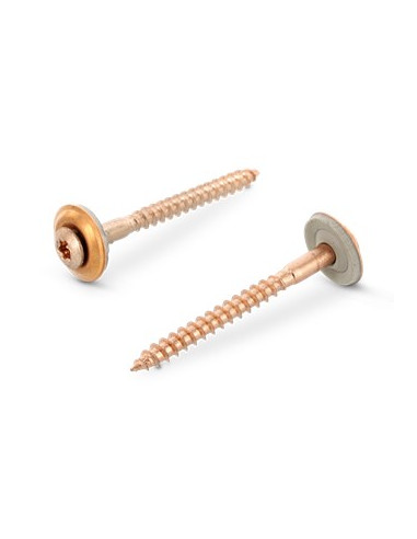 1 x Vis faitage Tête fraisée bombée TFB TORX...