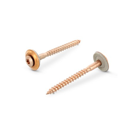 1 x Vis faitage Tête fraisée bombée TFB TORX T20 Inox A2 cuivre 4.5X100 Rondelle d'étanchéite EPDM 2 pièces