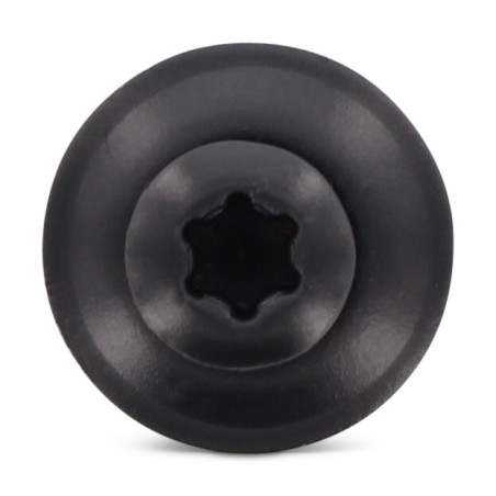 1 x Vis faitage Tête fraisée bombée TFB TORX T20 Inox A2 RAL7016 gris anthracite 4.5X100RD.EPDM