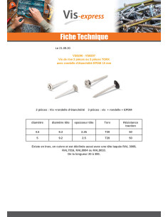 Vis faitage Tête fraisée bombée TFB TORX T20 Inox A2... 2