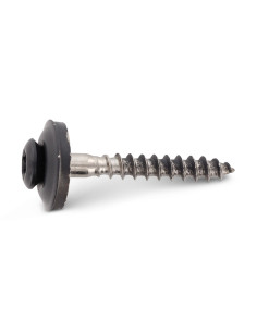 Vis faitage Tête fraisée bombée TFB TORX T20 Inox A2... 2
