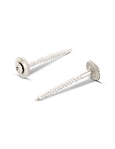 1 x Vis faitage Tête fraisée bombée TFB TORX...