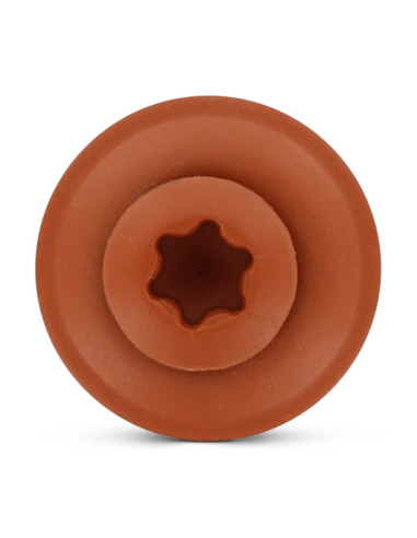 1 x Vis faitage Tête fraisée bombée TFB TORX...