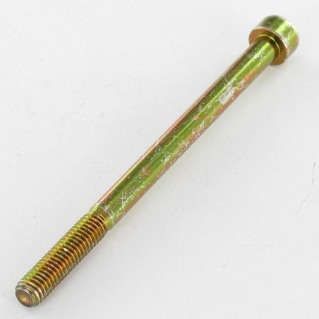 1 x Vis métaux CHC BTR M5X50 Filetée sur 22 Classe 8.8 Clé de 4 HC4 Bichromaté