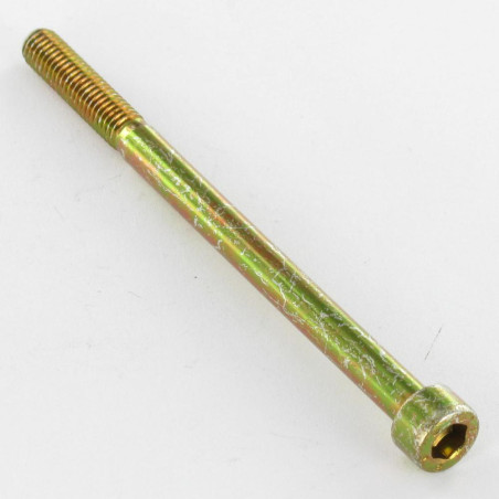 1 x Vis métaux CHC BTR M5X55 Filetée sur 22 Classe 8.8 Clé de 4 HC4 Bichromaté