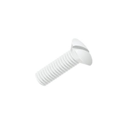 1 x Vis métaux Tête fraisée bombée TFB Fendue M8X60 nylon naturel