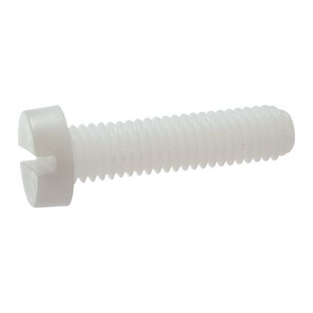 1 x Vis métaux Tête cylindrique large TCL Fendue M8X30 nylon naturel