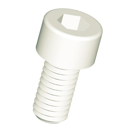 1 x Vis métaux CHC BTR Clé de 2.5 HC2.5 M3X40 nylon naturel microvis