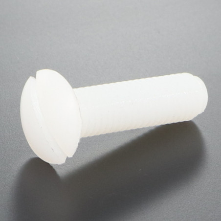 1 x Vis métaux Tête fraisée bombée TFB Fendue M5X25 nylon naturel