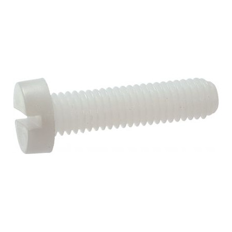 1 x Vis métaux Tête cylindrique TC Fendue M5X60 nylon naturel
