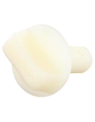 1 x Vis VIOLON Nylon M10X25 Type à