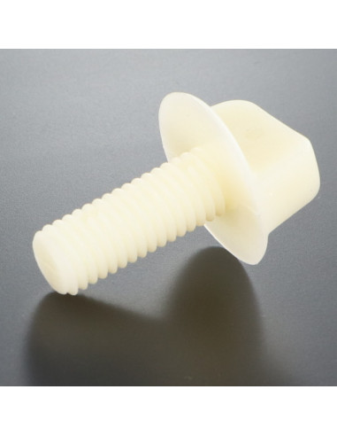1 x Vis VIOLON Nylon M10X25 Type à