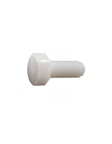 1 x Vis métaux Tête hexagonale TH nylon naturel...