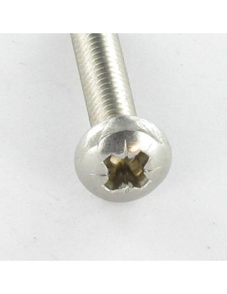 1 x Vis autotaraudeuse Tête cylindrique bombée TCB M5X12 Pozi N°2 Inox A2